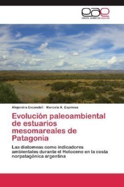 Evolucion Paleoambiental de Estuarios Mesomareales de Patagonia