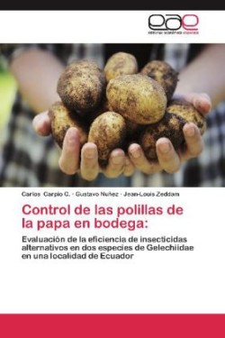 Control de Las Polillas de La Papa En Bodega