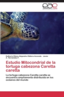 Estudio Mitocondrial de la tortuga cabezona Caretta caretta