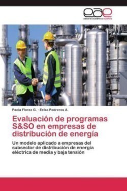 Evaluación de programas S&SO en empresas de distribución de energía