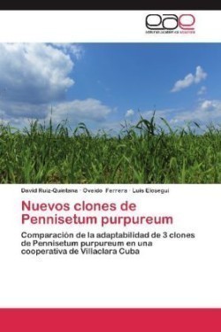 Nuevos clones de Pennisetum purpureum