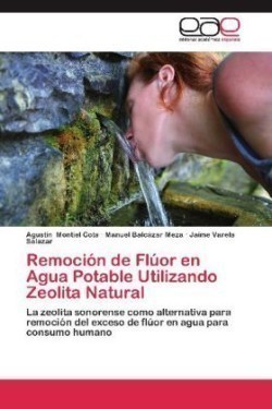 Remoción de Flúor en Agua Potable Utilizando Zeolita Natural