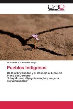 Pueblos Indígenas