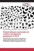 Entomofauna asociada al cultivo de Bactris gasipaes H.B.K