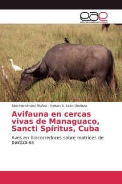 Avifauna en cercas vivas de Managuaco, Sancti Spíritus, Cuba