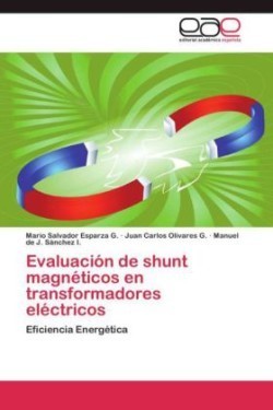 Evaluación de shunt magnéticos en transformadores eléctricos