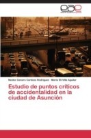 Estudio de puntos críticos de accidentalidad en la ciudad de Asunción