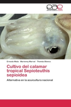 Cultivo del calamar tropical Sepioteuthis sepioidea