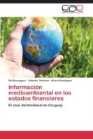 Información medioambiental en los estados financieros