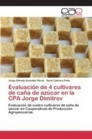 Evaluación de 4 cultivares de caña de azúcar en la CPA Jorge Dimitrov