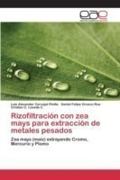 Rizofiltración con zea mays para extracción de metales pesados