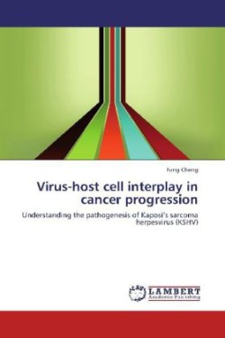 Virus-host cell interplay in cancer progression