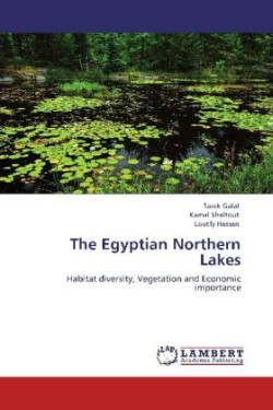 Egyptian Northern Lakes