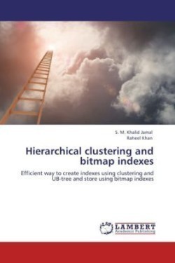 Hierarchical clustering and bitmap indexes