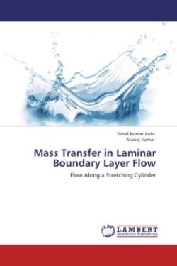 Mass Transfer in Laminar Boundary Layer Flow