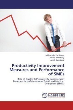 Productivity Improvement Measures and Performance of SMEs