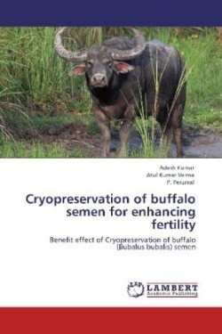 Cryopreservation of buffalo semen for enhancing fertility