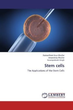 Stem Cells