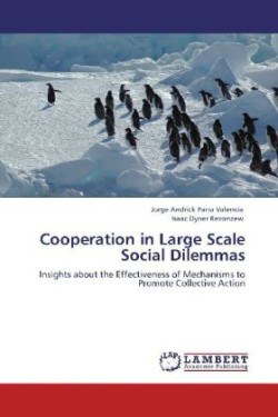 Cooperation in Large Scale Social Dilemmas