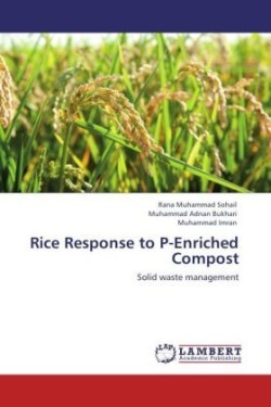 Rice Response to P-Enriched Compost