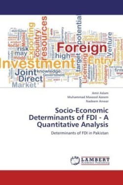 Socio-Economic Determinants of FDI - A Quantitative Analysis