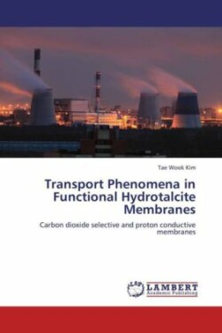 Transport Phenomena in Functional Hydrotalcite Membranes