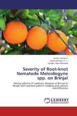 Severity of Root-knot Nematode Meloidogyne spp. on Brinjal