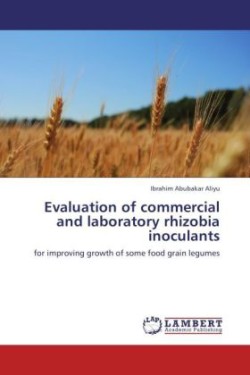 Evaluation of commercial and laboratory rhizobia inoculants