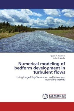 Numerical modeling of bedform development in turbulent flows