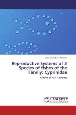 Reproductive Systems of 3 Species of fishes of the Family