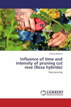 Influence of time and intensity of pruning cut rose (Rosa hybrida)