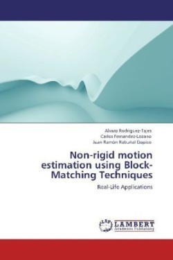 Non-rigid motion estimation using Block-Matching Techniques