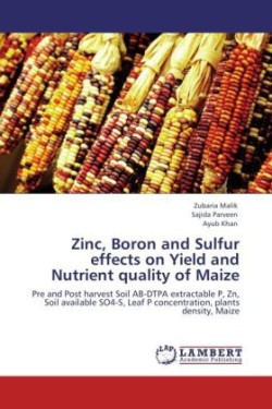 Zinc, Boron and Sulfur effects on Yield and Nutrient quality of Maize