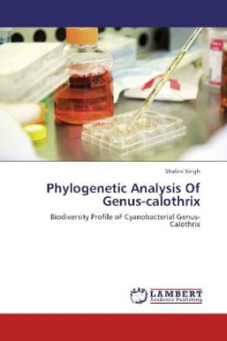 Phylogenetic Analysis Of Genus-calothrix