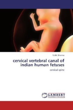 cervical vertebral canal of indian human fetuses