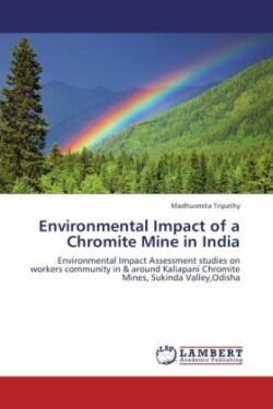 Environmental Impact of a Chromite Mine in India