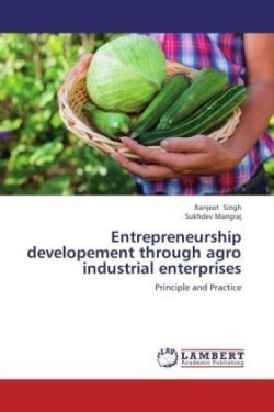 Entrepreneurship developement through agro industrial enterprises