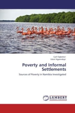 Poverty and Informal Settlements