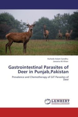 Gastrointestinal Parasites of Deer in Punjab, Pakistan