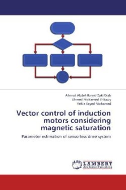 Vector control of induction motors considering magnetic saturation