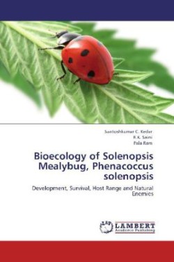 Bioecology of Solenopsis Mealybug, Phenacoccus solenopsis