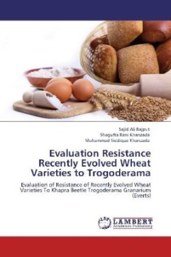 Evaluation Resistance Recently Evolved Wheat Varieties to Trogoderama