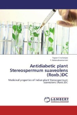 Antidiabetic plant Stereospermum suaveolens (Roxb.)DC