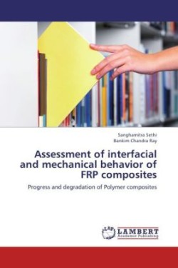 Assessment of interfacial and mechanical behavior of FRP composites