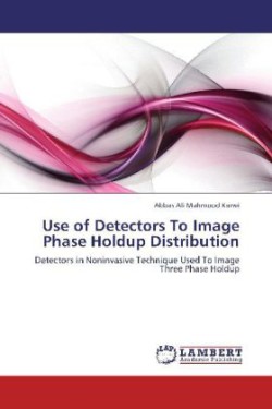 Use of Detectors To Image Phase Holdup Distribution