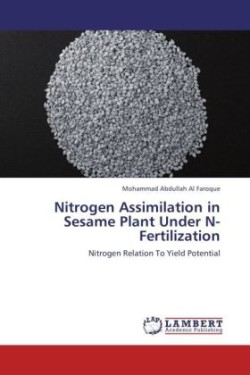 Nitrogen Assimilation in Sesame Plant Under N-Fertilization