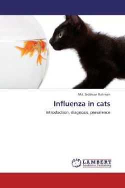 Influenza in cats