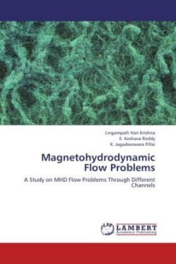 Magnetohydrodynamic Flow Problems