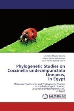 Phylogenetic Studies on Coccinella undecimpunctata Linnaeus, in Egypt