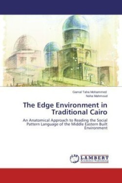 Edge Environment in Traditional Cairo